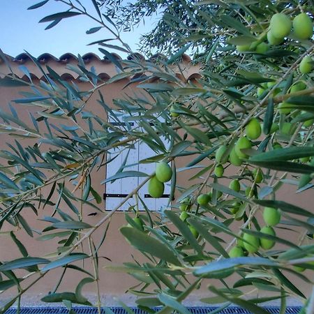 Reve En Luberon Villa Lauris Exteriör bild