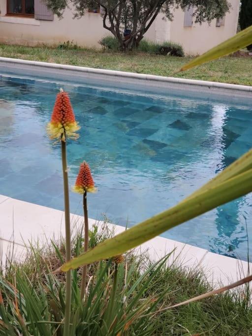 Reve En Luberon Villa Lauris Exteriör bild