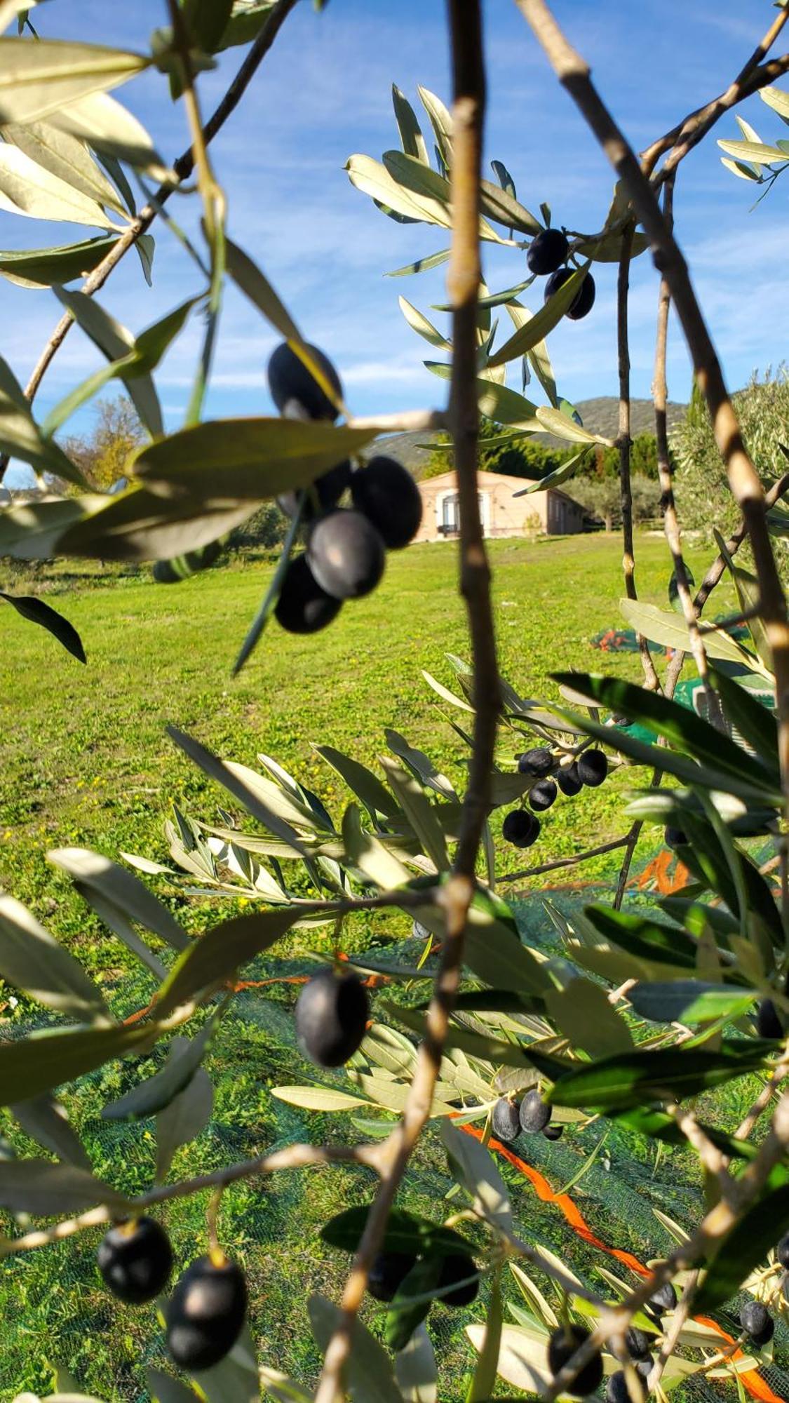 Reve En Luberon Villa Lauris Exteriör bild