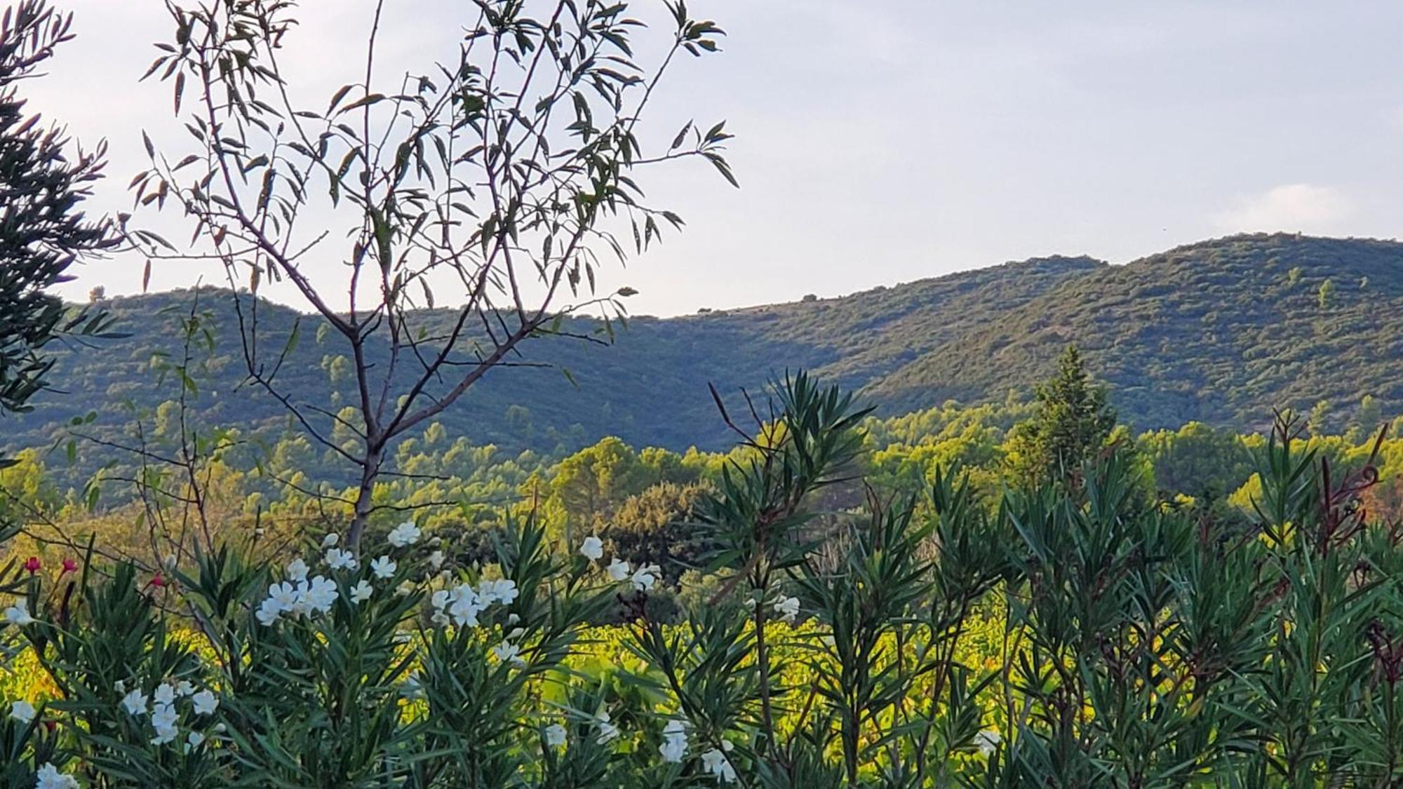 Reve En Luberon Villa Lauris Exteriör bild